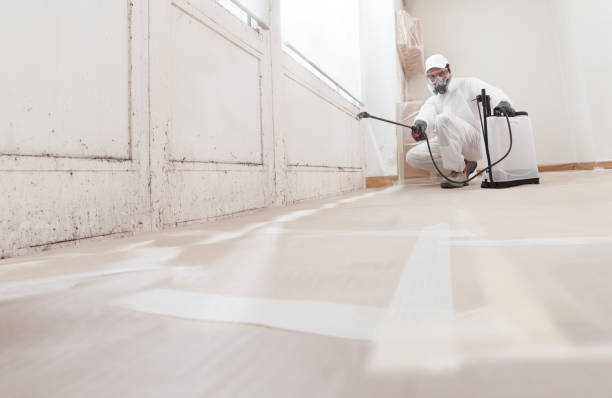 24/7 Emergency Mold Testing experts in New Brunswick, NJ