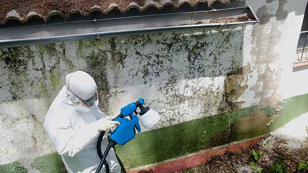 Trusted Crawl Space Mold Removal service in New Brunswick, NJ - Cheap Mold Removal
